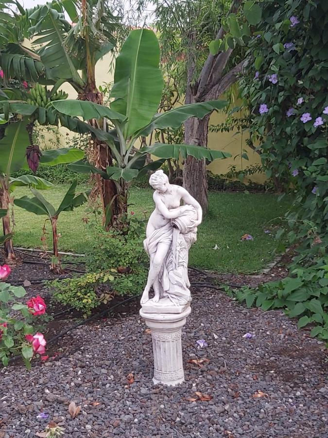 Mi Jardin Villa Frontera Eksteriør bilde