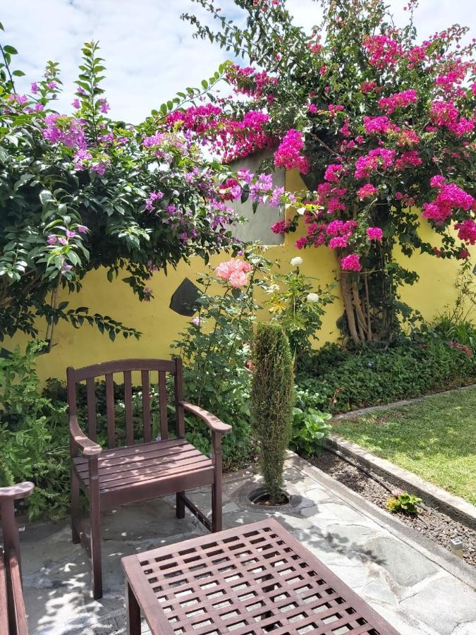 Mi Jardin Villa Frontera Eksteriør bilde