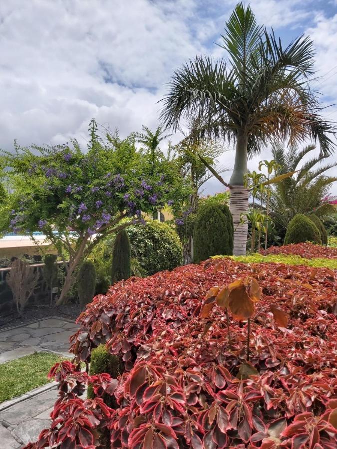 Mi Jardin Villa Frontera Eksteriør bilde