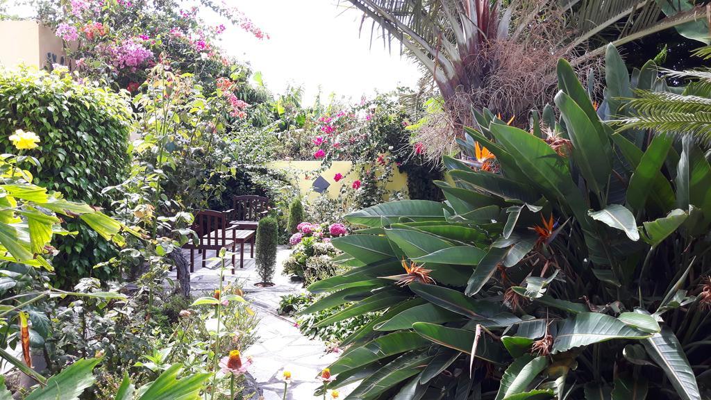 Mi Jardin Villa Frontera Eksteriør bilde