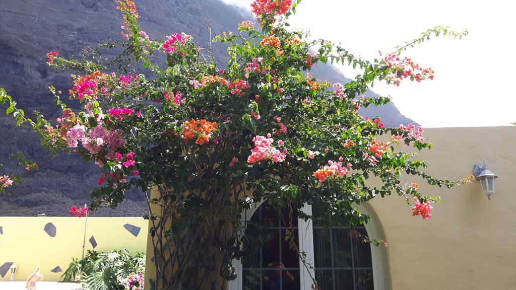 Mi Jardin Villa Frontera Eksteriør bilde