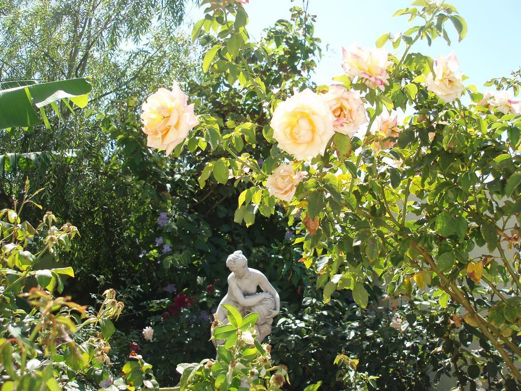 Mi Jardin Villa Frontera Eksteriør bilde